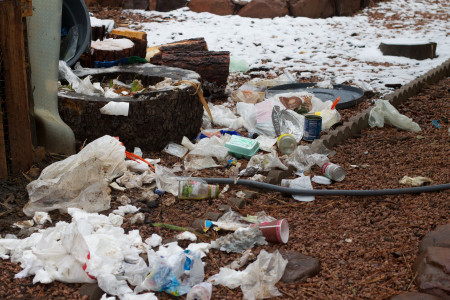 Жители Мурманска пожаловались главам округов на падающие деревья и мусор во дворах