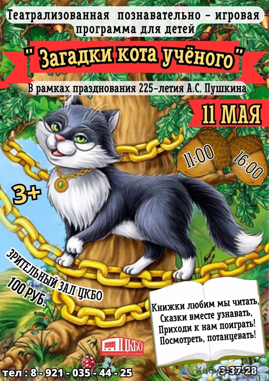 Спектакль Загадки кота ученого в Заозерске - Афиша на Хибины.ru