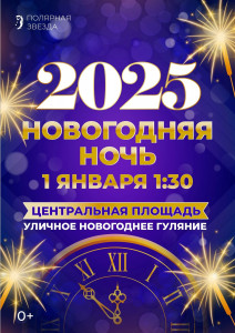 Новогодняя ночь 2025