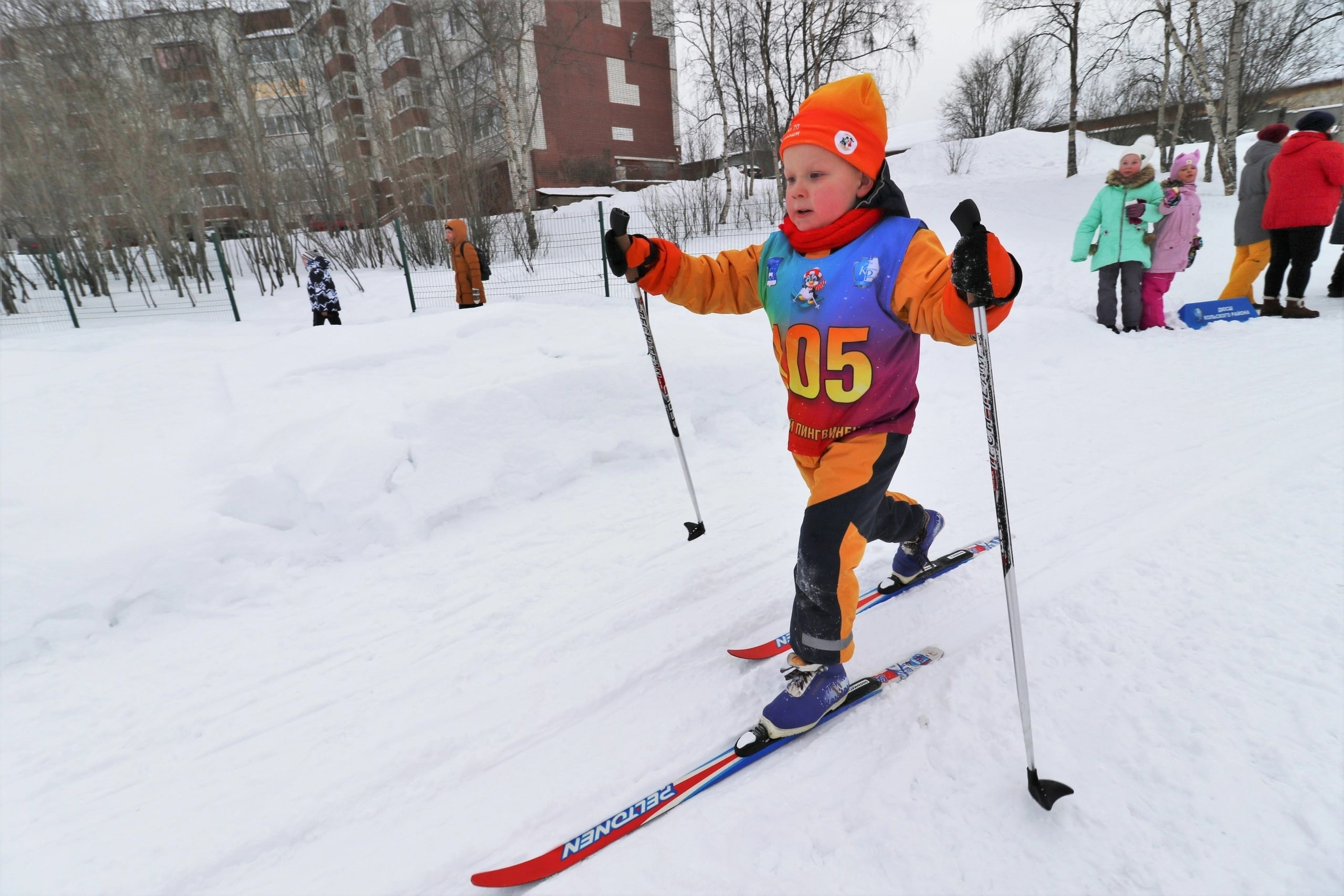 Лыжный спорт в кольском. Горнолыжные лыжи. Гонки на лыжах. Лыжник фото. Лыжные гонки фото.