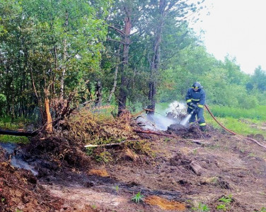На грани: кандалакшские пожарные успели предотвратить лесной пожар