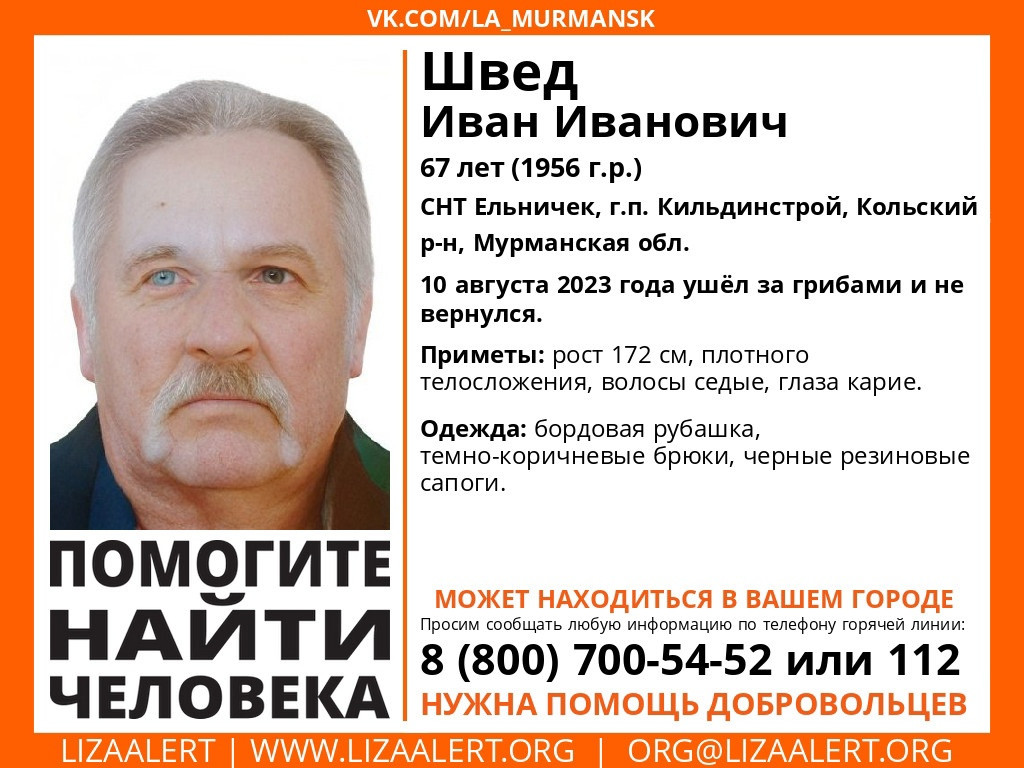 Опубликованы приметы пропавшего грибника - новости Хибины.ru / Новости за  август 2023