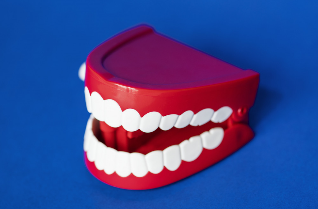 ЛДПР: необходимо включить протезирование зубов участникам СВО в перечень соцгарантий