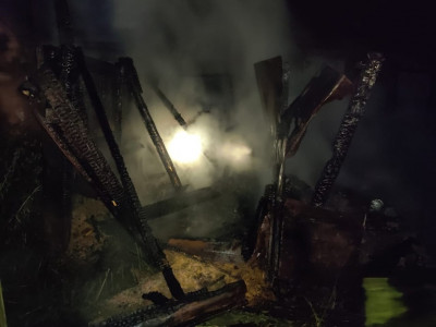 В Кандалакше от огня пострадали нежилая постройка и ЛЭП