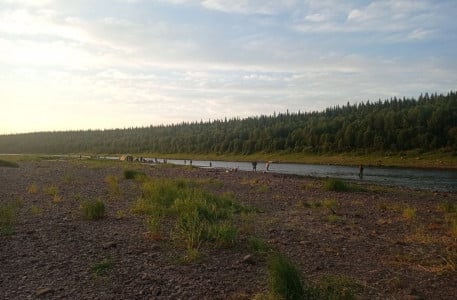 В Заполярье жителей призвали активнее жаловаться на рыбаков-нарушителей