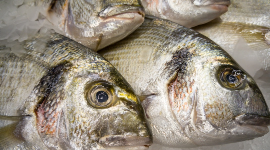 В Мурманской области прокуроры проверили рыбную продукцию
