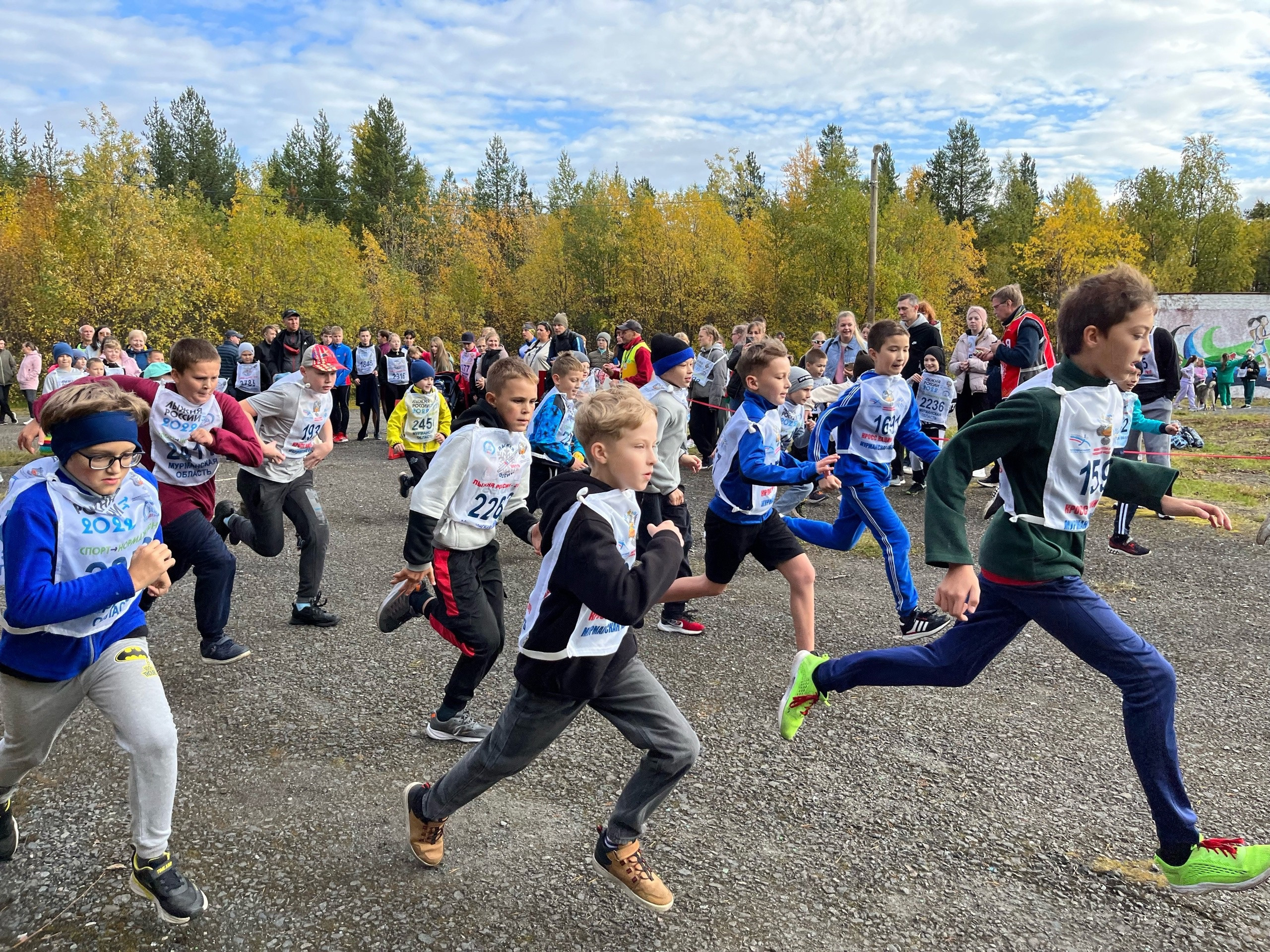 Пробеги cross. Кросс пробегом.