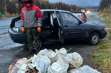 На Североморской дороге пограничники изъяли четверть тонны крабов на 2,2 млн рублей
