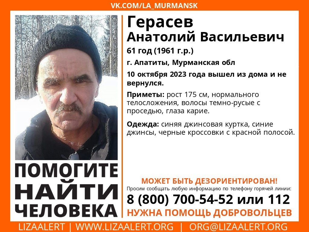 61-летнего мужчину из Апатитов ищут второй день - новости Хибины.ru /  Новости за октябрь 2023