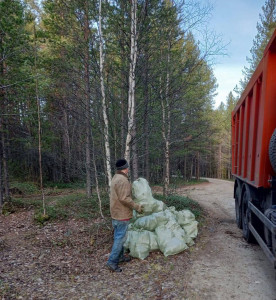 В Мурманской области продолжается ликвидация несанкционированных свалок