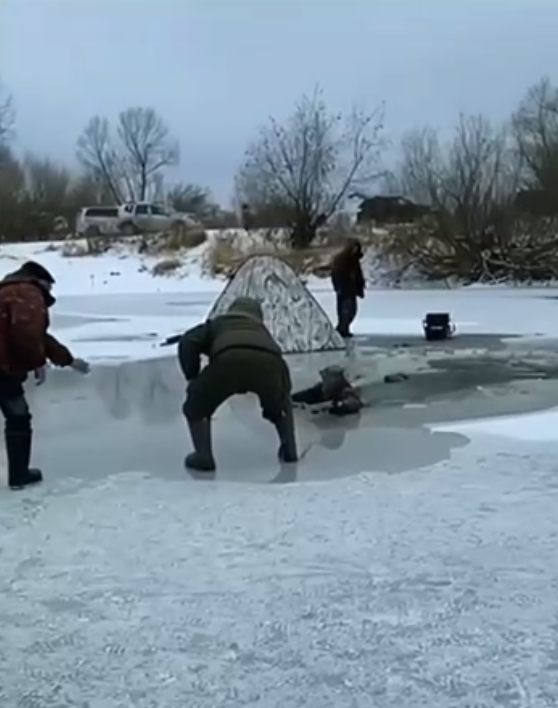 Фото: Народное телевидение "Хибины"