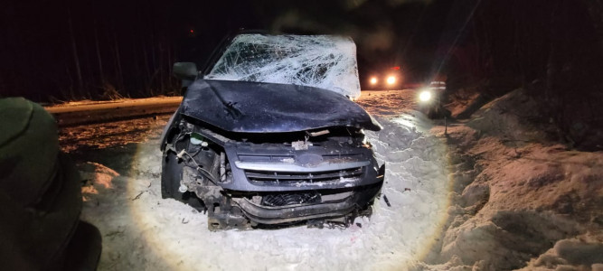 В Кольском районе по факту смертельного ДТП возбуждено уголовное дело