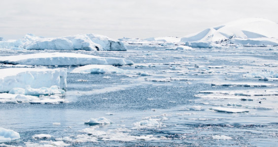 Ученые обнаружили главную причину загрязнения Арктики — что можно сделать