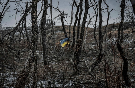 «Закатать губу»: в США признали нелепость мечтаний Украины о возвращении к границам 2014 года — перспективы нулевые