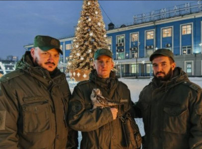 Криминалисты Мурманской области взяли под опеку двух раненых сов