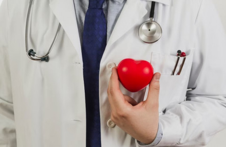 «Прощайте, тромбы!»: Врач-кардиолог Новиков назвал три самых полезных жирных продукта — еще и борцы с «плохим» холестерином