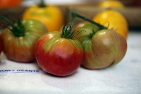 Этот сорт томатов вызывает бурю восторга у огородников: посадите его в феврале, чтобы получить море урожая — неприхотливый вид