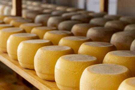 И пусть весь мир истерит, но без вас: учёные выяснили, какой сыр поможет в борьбе со стрессом