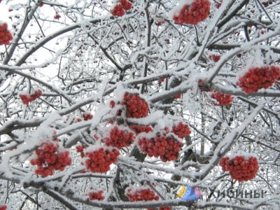 Температура воздуха в Заполярье опустится до -32℃