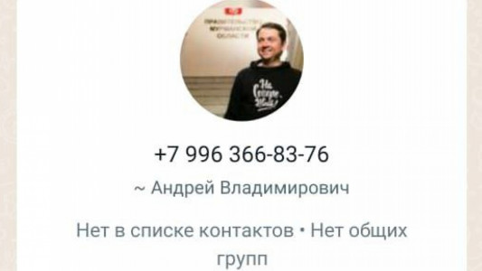 Мошенники создали фейковый аккаунт главы Заполярья в Telegram