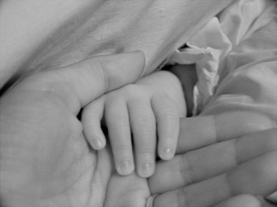 В Заполярье за год новорожденным оформили 5.5 тысячи СНИЛС