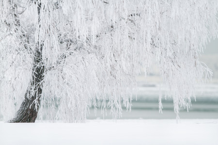 17 февраля в Заполярье будет снежно