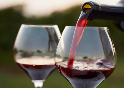 Есть решение: Медик Баранова рассказала, почему даже из-за одного бокала красного вина может разболеться голова — как избавиться от проблемы