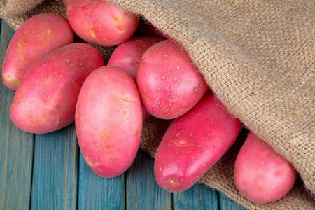 30 клубней с каждого куста: этот урожайный сорт картофеля заставит вас забыть про остальные — мечта любого дачника