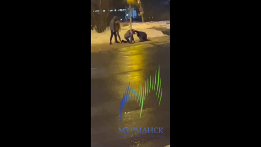 Мурманчане подрались на обочине дороги и попали на видео