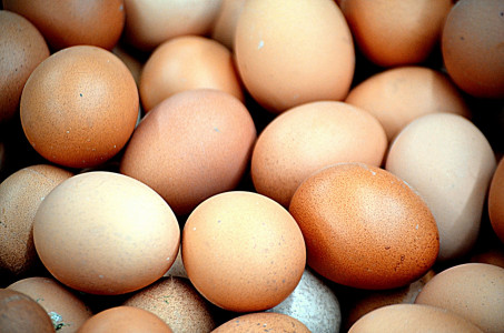 Наконец-то дешевеют: стоимость яиц в Мурманской области снизилась на 1%