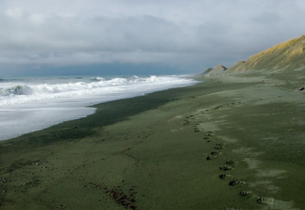На Аляске обнаружили следы гигантов — кто и когда их оставил, представление об обитателях региона изменилось