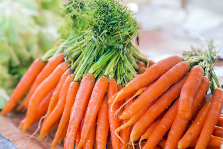 По 20 кг моркови с каждой грядки: агроном Гуляева назвала способ борьбы с вредителями — никто не сможет погубить урожай