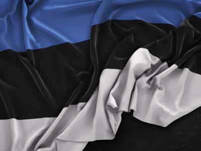 Эстония насмешила весь мир: Таллин отправит одного солдата для защиты судов в Красном море — такого военного контингента еще не видели