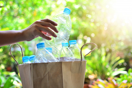 Пластиковые бутылки на грядке совершат чудо: урожай можно сохранить благодаря этой таре — заморозки, град и ветер нипочем