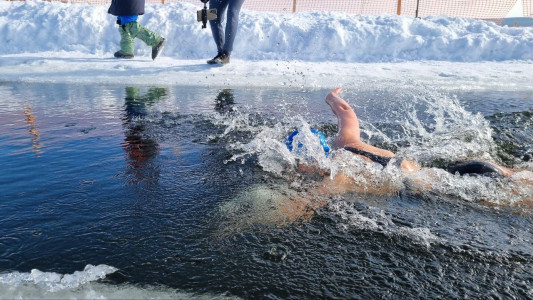 На озере Имандра прошел благотворительный заплыв «Добрый морж»