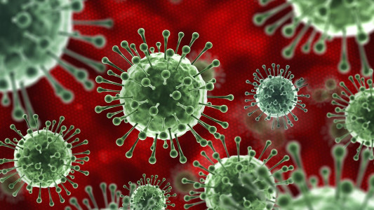 «Убивает» Covid-19 наповал: этот настой справится с самыми опасными вирусами — мгновенный эффект