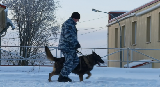 Банду наркоторговцев арестовали в Мурманской области — каждого из них ждет до 9 лет колонии строгого режима