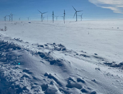 Стремительное таяние снега: метеорологи отметили в Заполярье снижение высоты снежного покрова