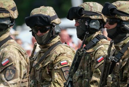 Прямое участие: Рогов заявил, что Польша готовит военный контингент для ввода на Украину — наемники уже в Запорожской области