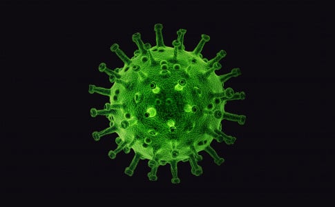 Мутант уже тут: новый штамм коронавируса FLiRT пришёл в Россию — Роспотребнадзор объяснил риски и указал симптомы