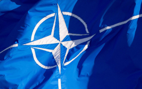 НАТО готовится к противостоянию с Россией: США планируют направить дополнительные силы в Европу — солдат перебросят в Нидерланды