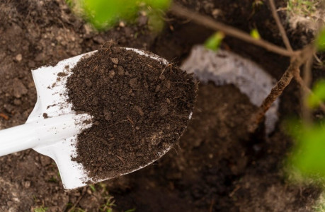 С пыреем распрощаетесь навсегда: огородные эксперты советуют 3 эффективных способа борьбы — миллионы не нужны