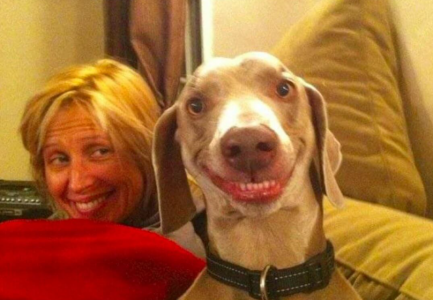 Собаки-улыбаки: Мимика собак оскудела, зато стала схожа с человеческой