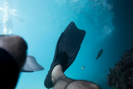 Кто проживает на дне океана 15 000 лет: невероятное существо встретилось ученым в глубоководной экспедиции