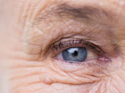 Тем, кто пьет этот напиток, катаракта не грозит и в 90: рецепт от врача — обращает вспять возрастные изменения глаз