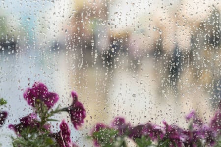 Рабочая неделя на Кольском полуострове начнётся с дождей