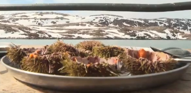 Айс-флоатинг, крабовое сафари, морская прогулка по Арктике: туристический бизнес семьи из Мурманска, который заставляет жить
