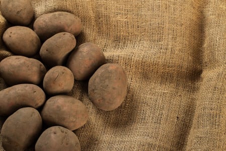 Старой картошке нашли применение: вот что делают с ней хитрые огородники — урожай будете собирать тележками