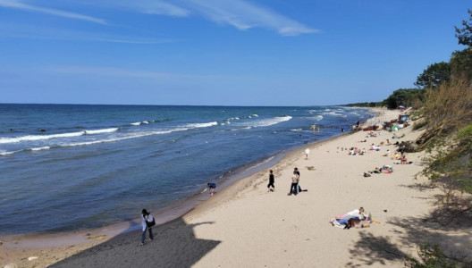 Не для пляжного отдыха: посетившая Калининградскую область туристка оказалась в шоке от состояния прибрежной зоны — больше туда ни ногой