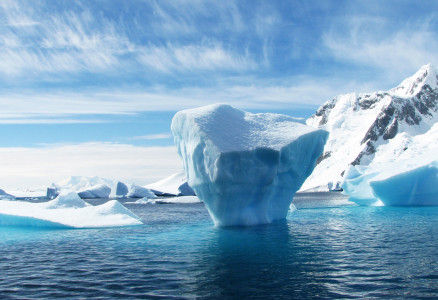Подо льдом Антарктиды обнаружилась удивительная находка: ей более 40 млн лет